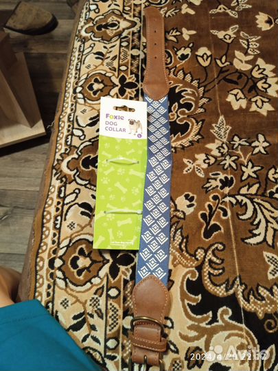Ошейник для собак