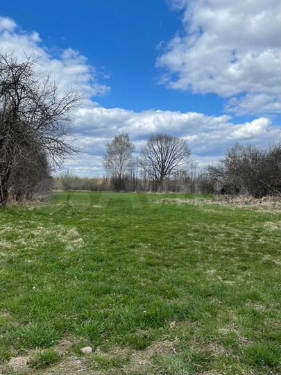 Участок 25 сот. (ИЖС)