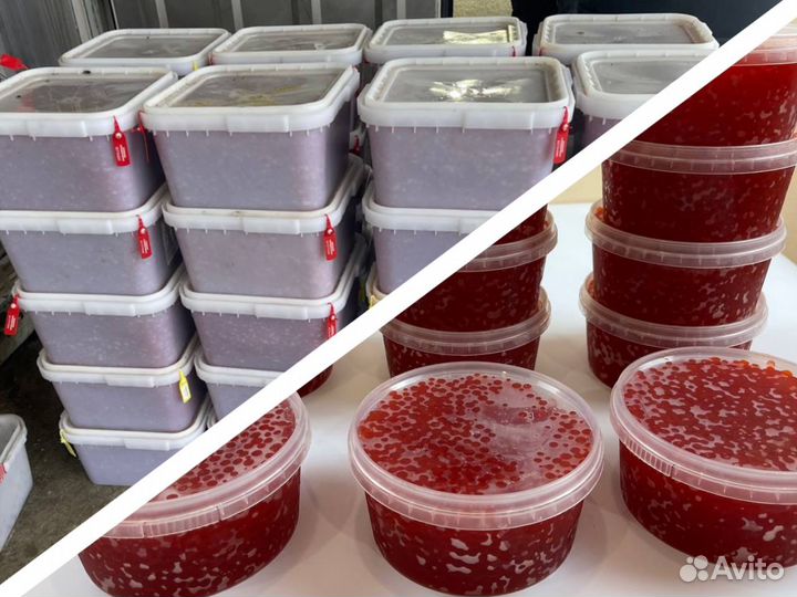 Красная икра Нерка, Кета, Горбуша, Кижуч