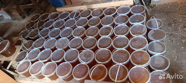 Свежий мед 2023года