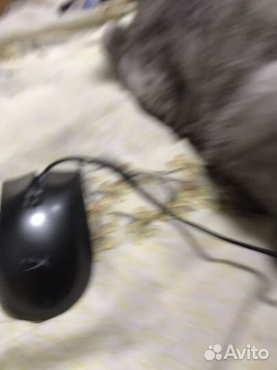 Игровая мышь hyperx