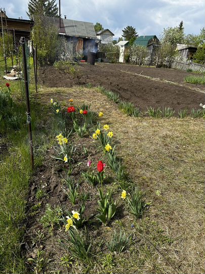 Дача 30 м² на участке 4 сот.