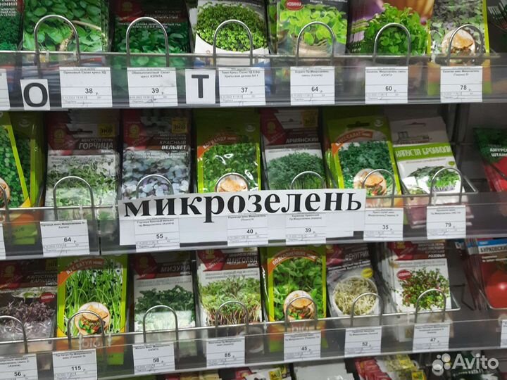 Семена петунии