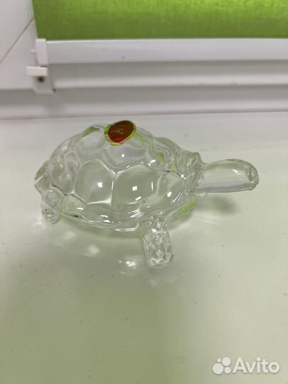 Стекляная черепаха