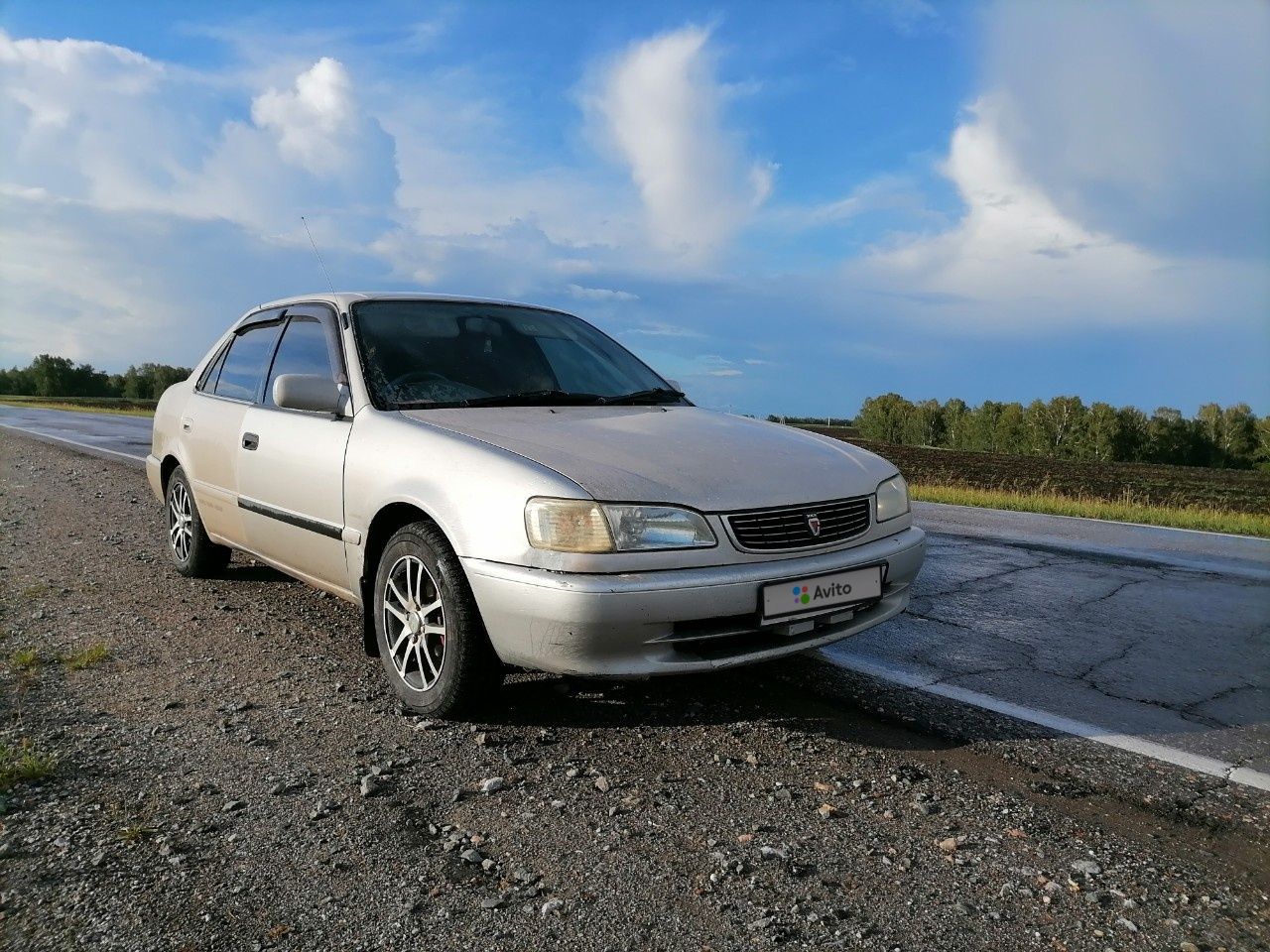 Toyota Corolla: фото владельца