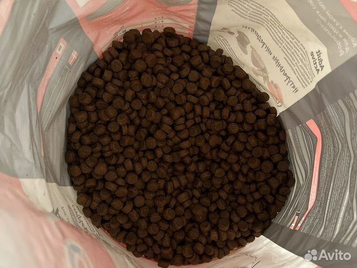 Корм для собак