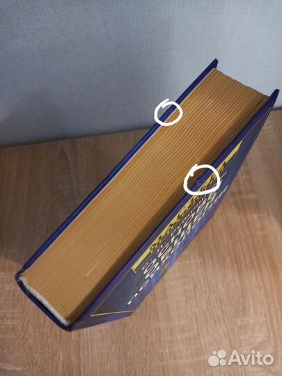 С. Л. Рубинштейн Основы общей психологии