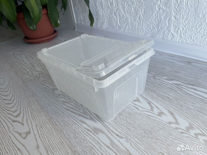 Контейнер для хомяка, улитки