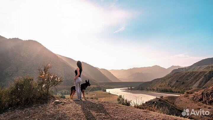 Художественный портрет