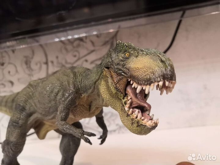 Динозавр, медвежата и попугай