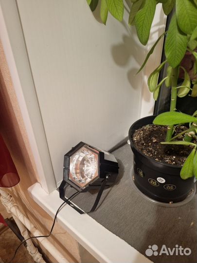 Светомузыка