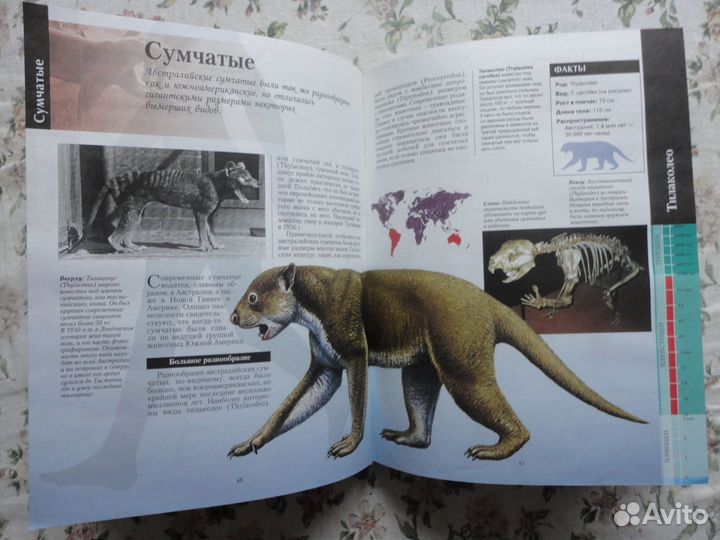 Книги про животных (слева уникальная)