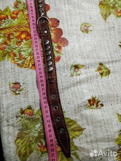 Ошейник для собак