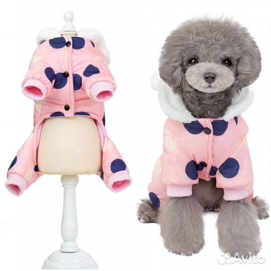 Одежда для собак