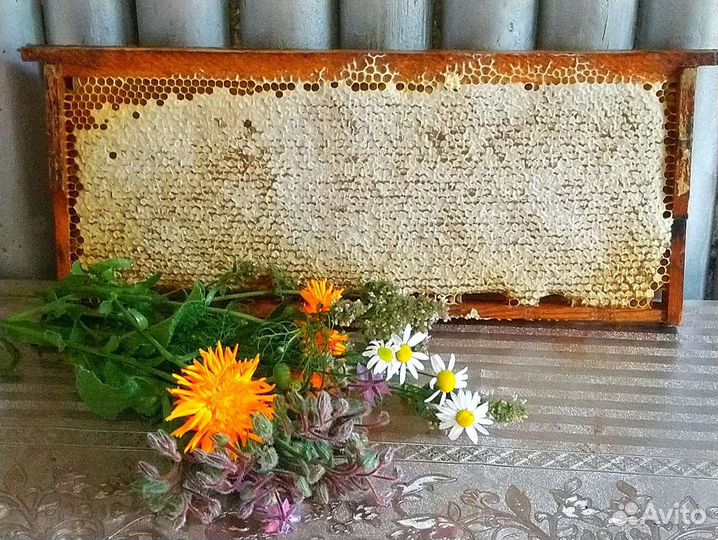 Мед сотами в рамках