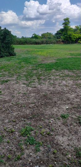 Участок 16 сот. (ИЖС)