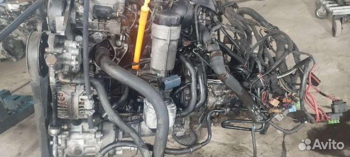 60233528 Двигатель Volkswagen Golf 4 1.9 Дизель AL