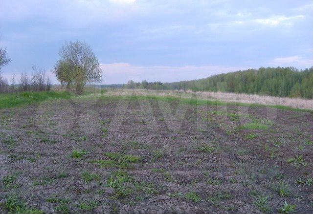 Участок 20 сот. (ИЖС)