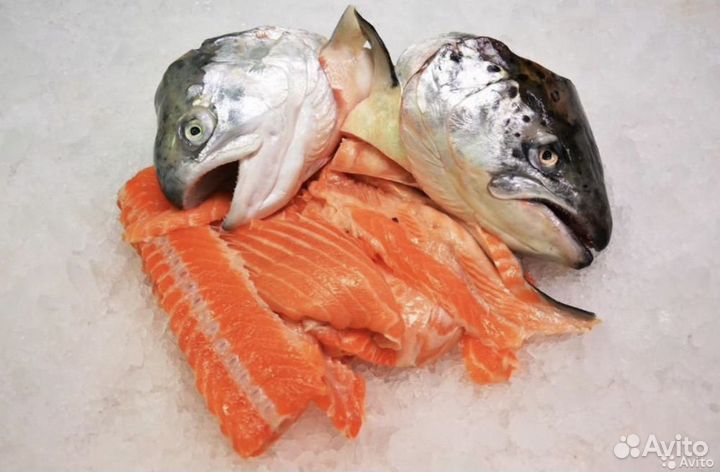 Рыба. Суповые наборы из семги, лосося