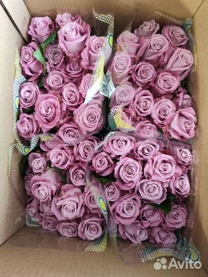 Цветы и фурнитура Оптом