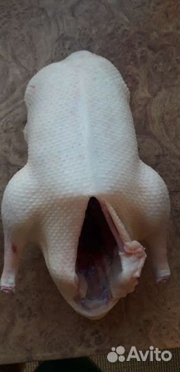 Утка, гусь,индоутка домашнее мясо