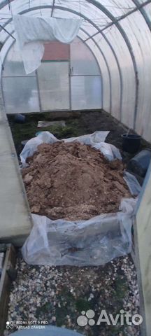 Куриный помет