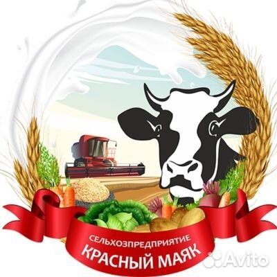 Ветеринарный врач крс