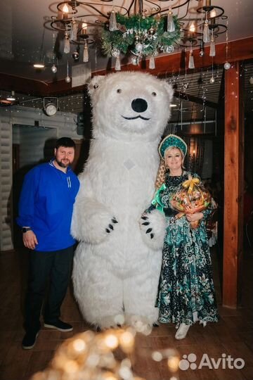 Аэрокостюм медведь