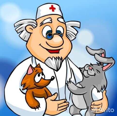 Ветеринар (врач-орнитолог)