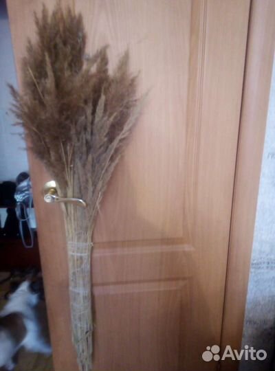 Большой букет колосков