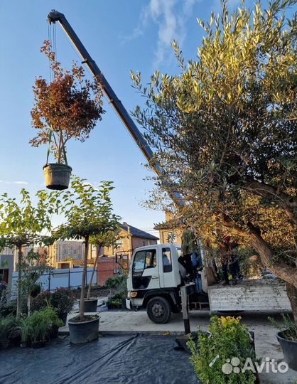 Манипулятор. Эвакуатор. Автокран. Кран Краснодар