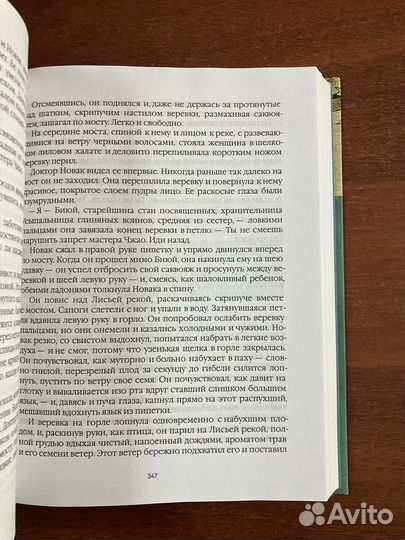 Анна Старобинец. Лисьи броды