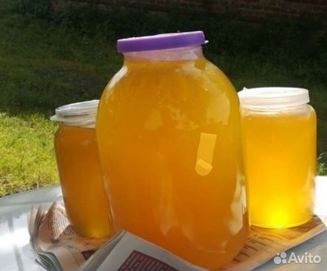 Мед Башкирский липовый (с доставкой)