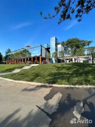 Рулонный газон с укладкой