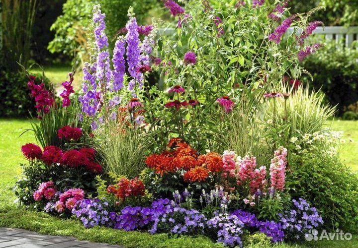 Продам многолетние садовые растения, цветы