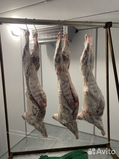 Мясо ягненка