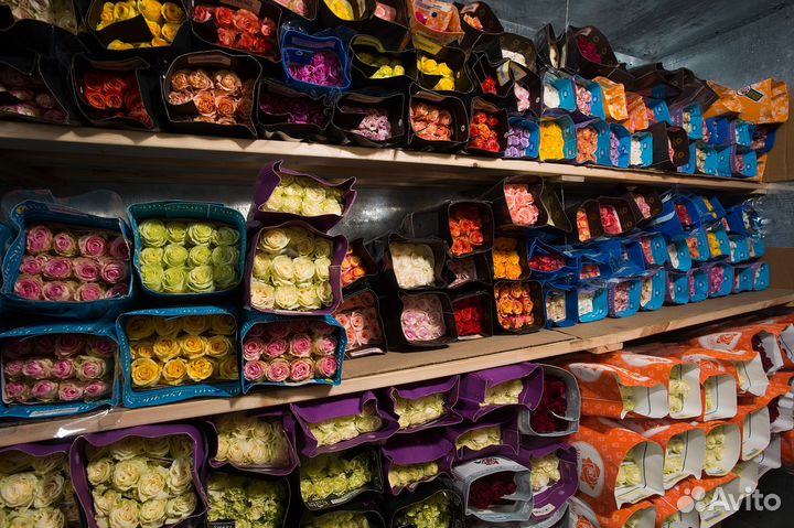 Цветы оптом со склада