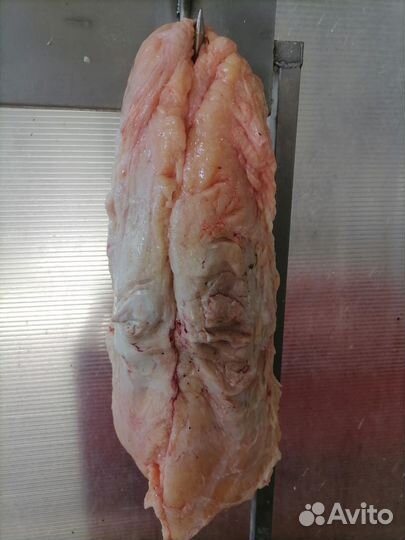 Натуральные субпродукты для собак