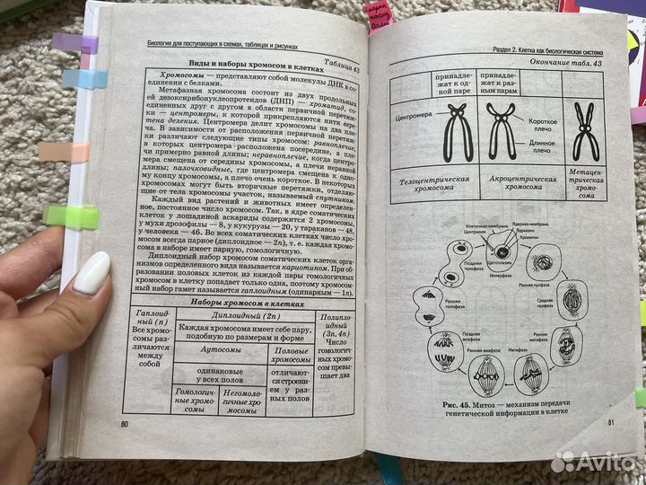 Учебник Т.Шустанова