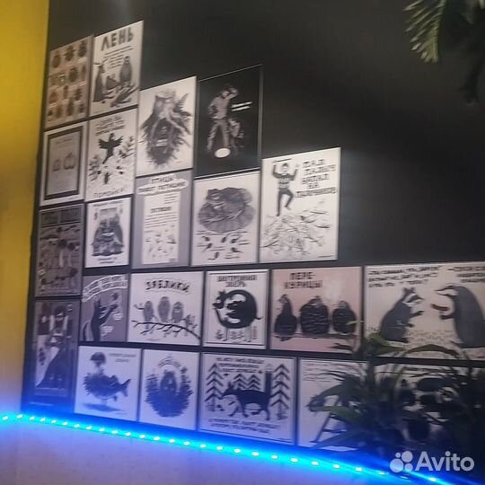 Картины, постеры