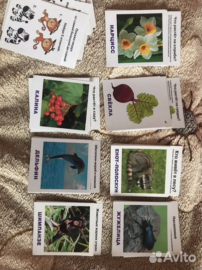 Развивающие карточки