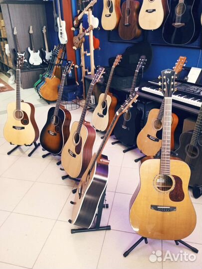 Гитары Cort массив