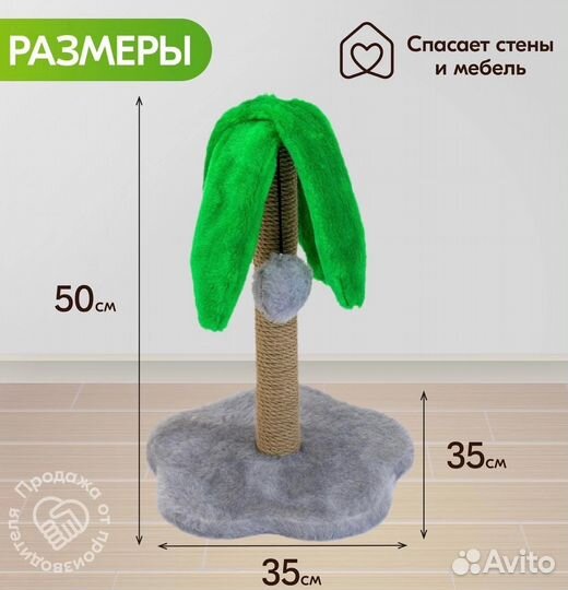 Когтеточка пальмочка