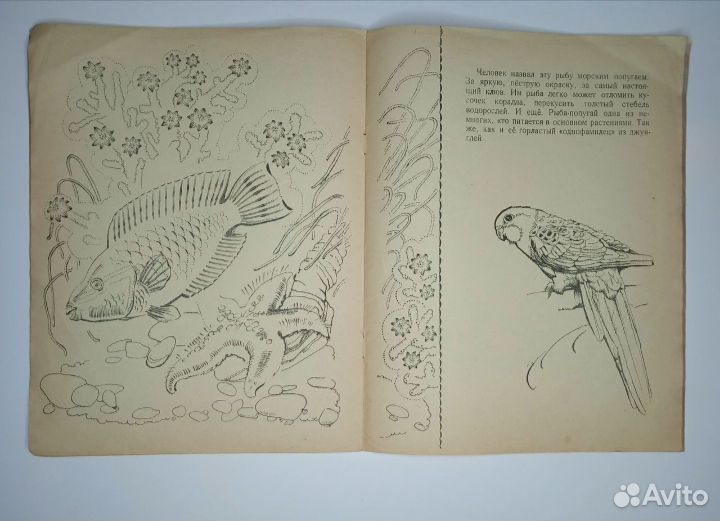 Пакетом Раскраски СССР