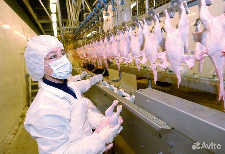 Разнорабочие на птицефабрику