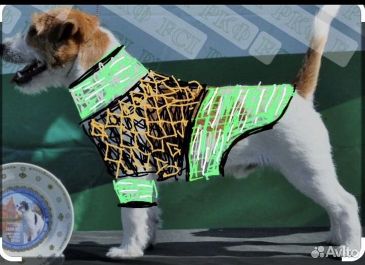 Свитер для джек рассел