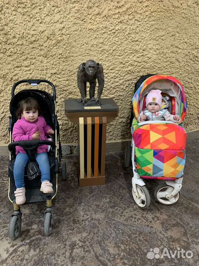 Коляска 2 в 1