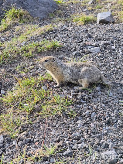 Джип-Тур Камчатка