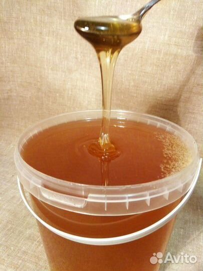 Мед горной липы