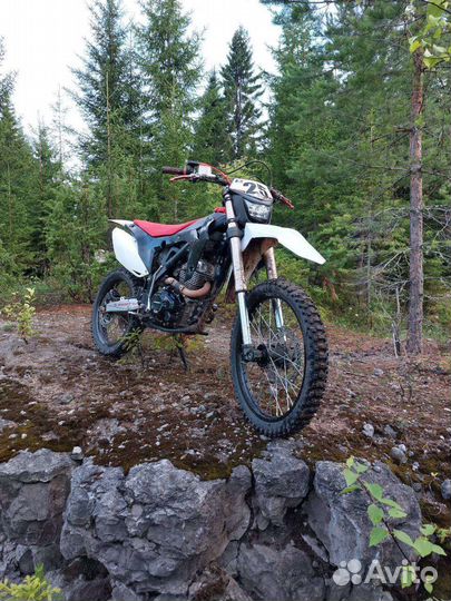 T-Rex 250 pro (Bse Z5)